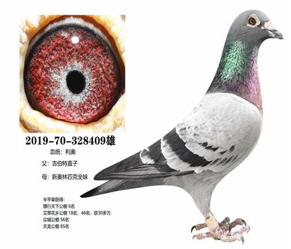 ���£�������ֱ��x�°���ƥ��ȫ��