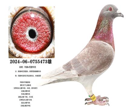 �°���ƥ��ֱ��x���ǲ��˺�ھ�