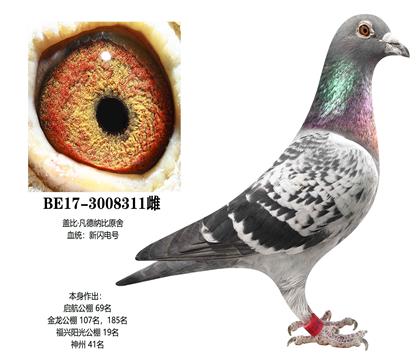 �Ǳ�ԭ�᣺���������Ů