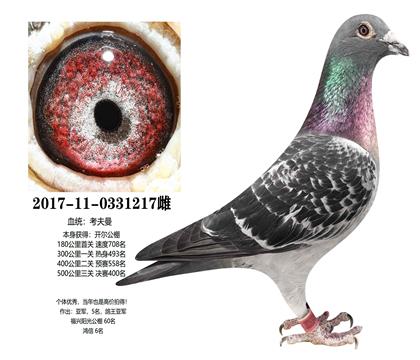 ��������ɼ��룺��������