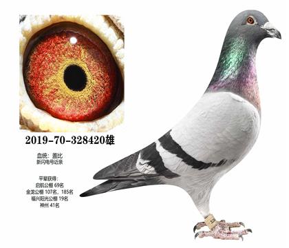 �Ǳȣ�������420