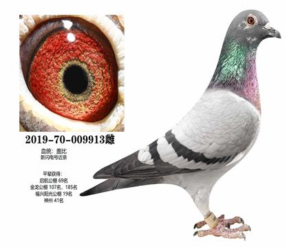 �Ǳȣ�������913