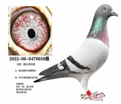 �ǱȻʼһ�ֱ��x�����ɼ�658