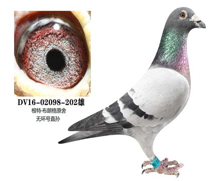 ���ز��ʸ�ԭ�᣺�޻���ֱ��