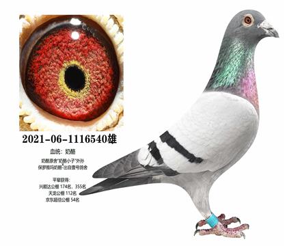 ���ң�����ԭ��540