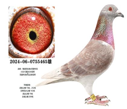 ³�����ιھ�x���ǲ��˺�ھ�465