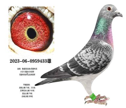 ³�����ιھ�x���ǲ��˺�ھ�433