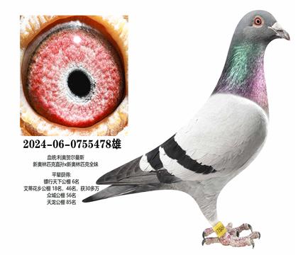 ���£��°���ƥ��478