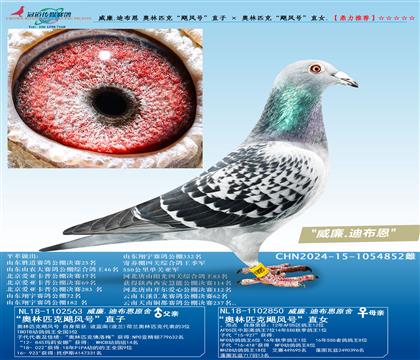 ����.�ϲ��� ����ƥ�ˡ�쫷�š�ֱ�� �� ����ƥ�ˡ�쫷�š�