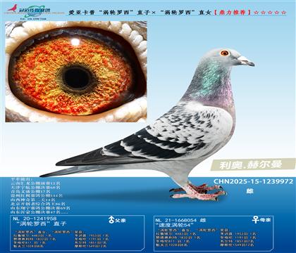 ���ǿ��ա�����������ֱ�ӡ�������������ֱŮ