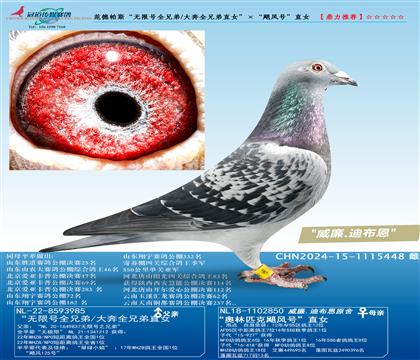 ������˹�����޺�ȫ�ֵ�/��ȫ�ֵ�ֱŮ������쫷�š�ֱŮ