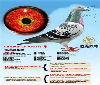 杨.范德帕斯“无限号半兄弟”直子x“无限号近亲”