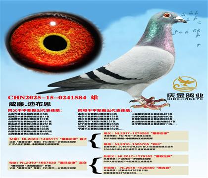 威廉.迪布恩“墨菲定律”直子x“墨菲定律”直女