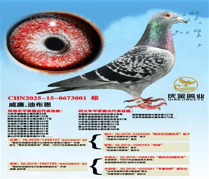 威廉.迪布恩“奥林匹克飓风号”直孙x“奥林匹克飓风号”直女