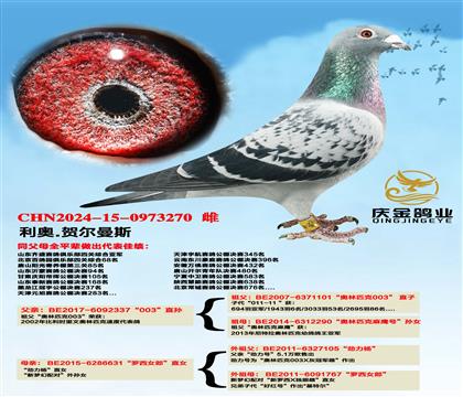 利奥.赫尔曼斯“003”直孙x“罗西女郎”直女