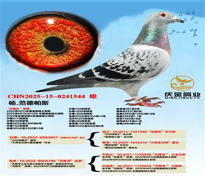 杨.范德帕斯“无限号半兄弟”直子x“无限号”近亲