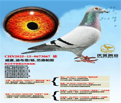 威廉.迪布恩“墨菲定律”直子x杨.范德帕斯“无限号”近亲