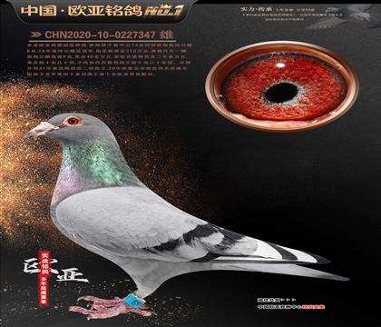 ���������ֹ�614Xɣ��ʿ061�ƽ����