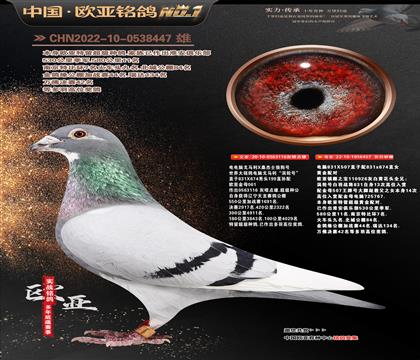 电脑X桑杰士116X电脑926直女457