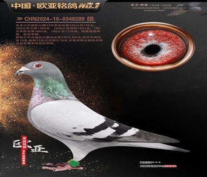 电脑X桑杰士直子989X桑杰士682金母