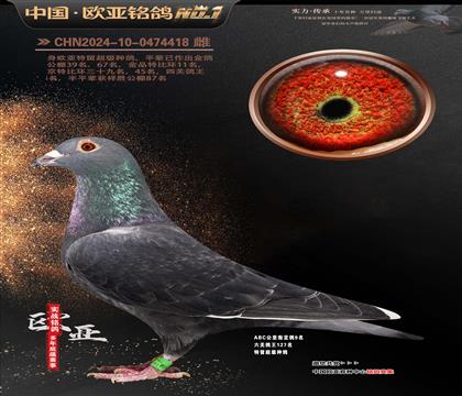 乔斯桑杰士黑色快车797X539