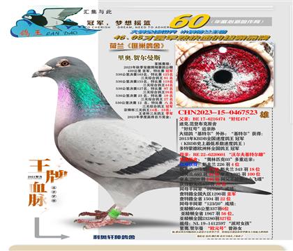 ���������ض���