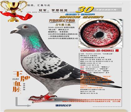 ��ƿˡ�����811��