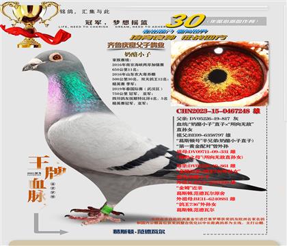 ��������С��