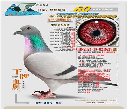 ���عھ����