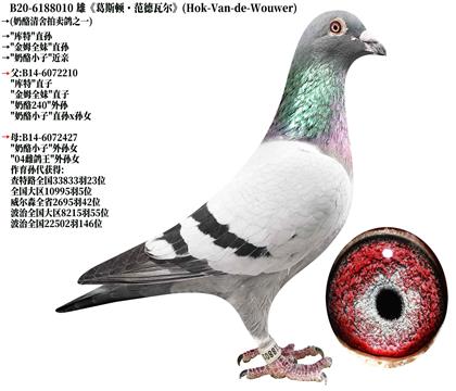 1《奶酪原舍》库特直孙