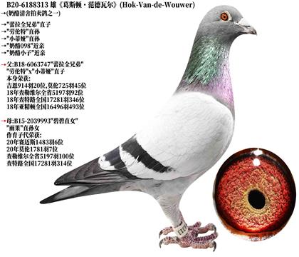 2《奶酪原舍》劳伦特直孙