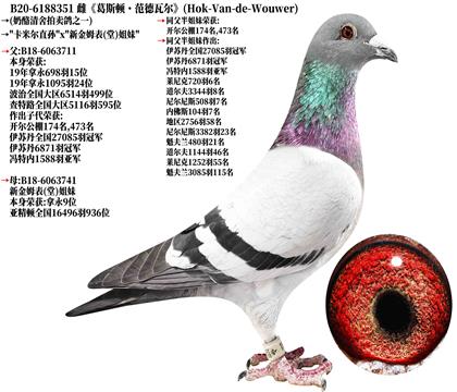 3《奶酪原舍》新金姆