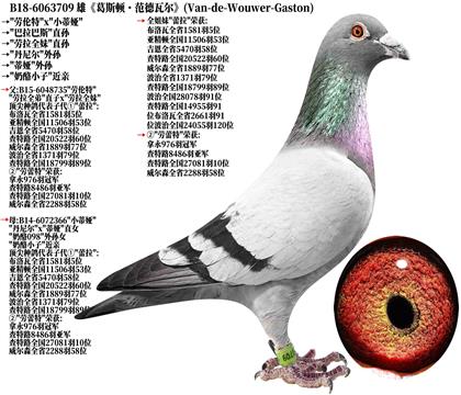 4《奶酪原舍》劳伦特x小蒂娅