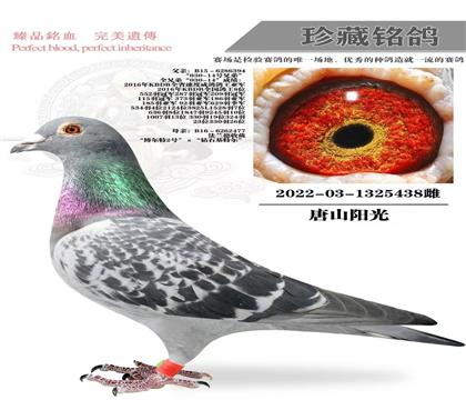 ��ɽ���⣺����X���ǲ���