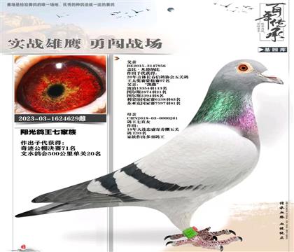 ��ɽ���⣺����������Ů