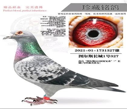 ���ǣ�ͼ��˹ ����1��