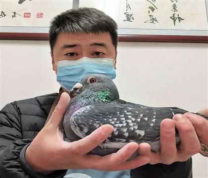 �����ء����׻Ҹ���980