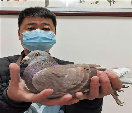 ��ѻ��ض�X���ǲ���905