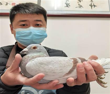 ��ѻ��ض�X���ǲ���904