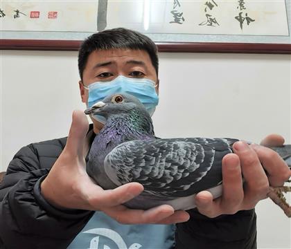 ����18��ȫƽ��