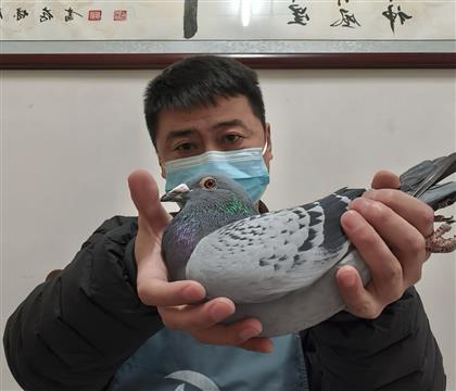 ���Ͽ�³�񷨱Ȱ�