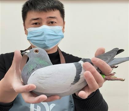 ŷ�����Ҷ��ؽ���