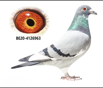 ������.��������ԭ��