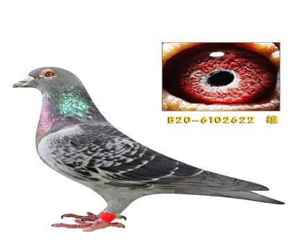 �Ͽ� ������622