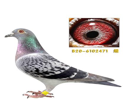 �Ͽ� ������471