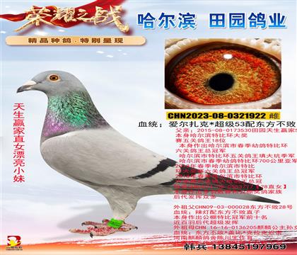 ����Ӯ��530ֱŮ��Ů��������