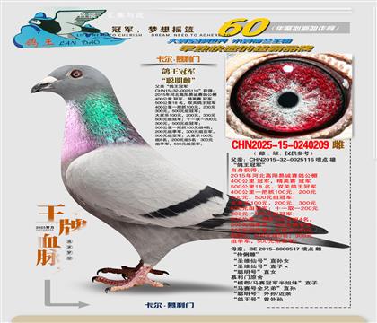 Ľ���š������ơ�