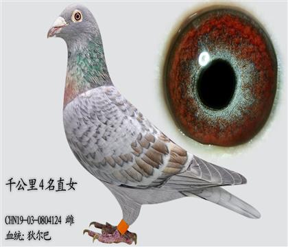 �Ҷ��� ǧ����4��ֱŮ