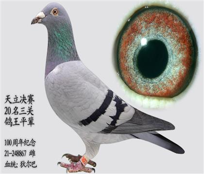 �������� 20�����ظ���ƽ��