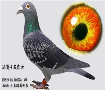 ����·��90ϵ ����4��ֱŮ